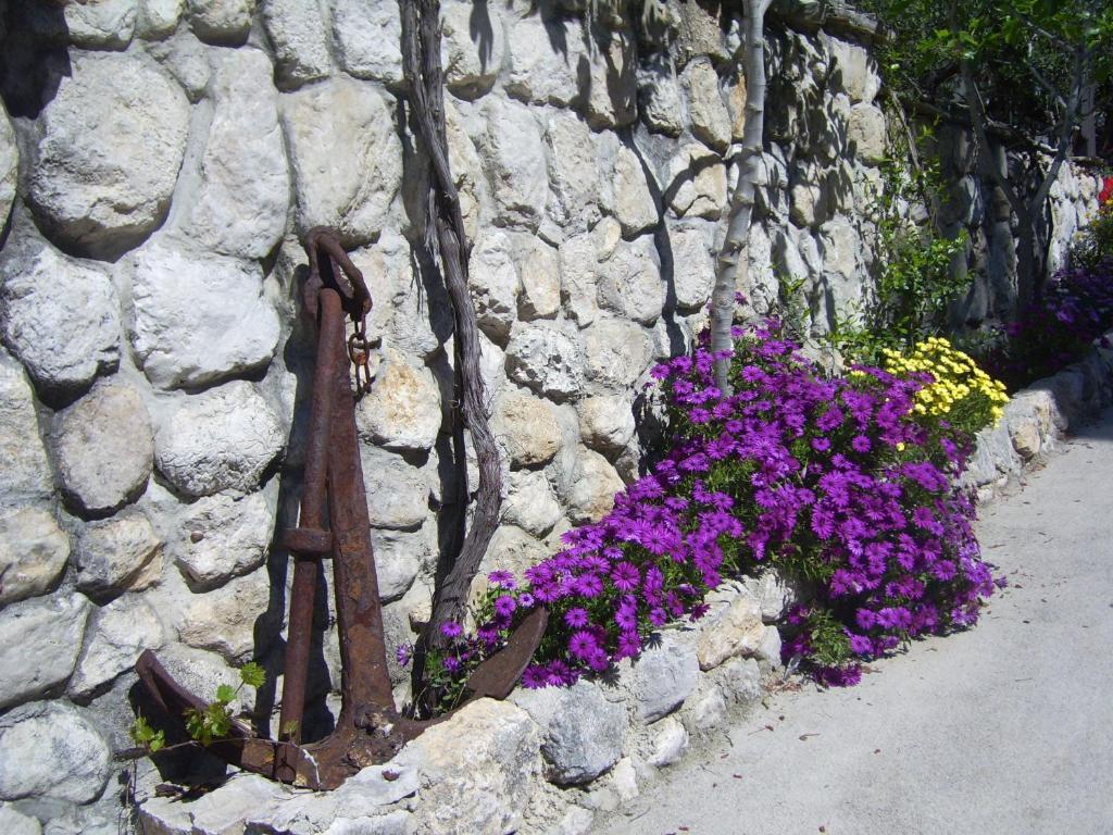 Apartments Villa More Makarska Bagian luar foto